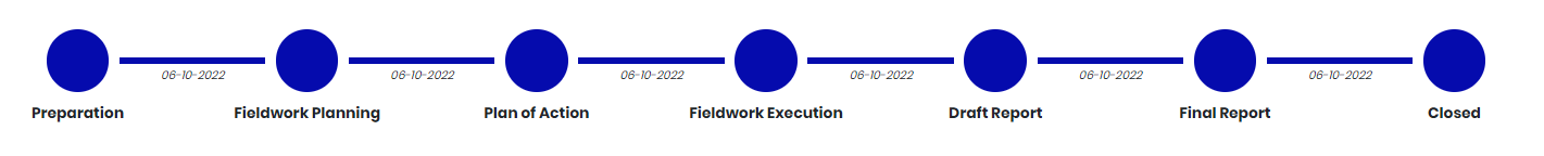The audit workflow on the audit details page: Preparation, Fieldwork Planning, Plan of Action, Fieldwork Execution, Draft Report, Final Report, Closed