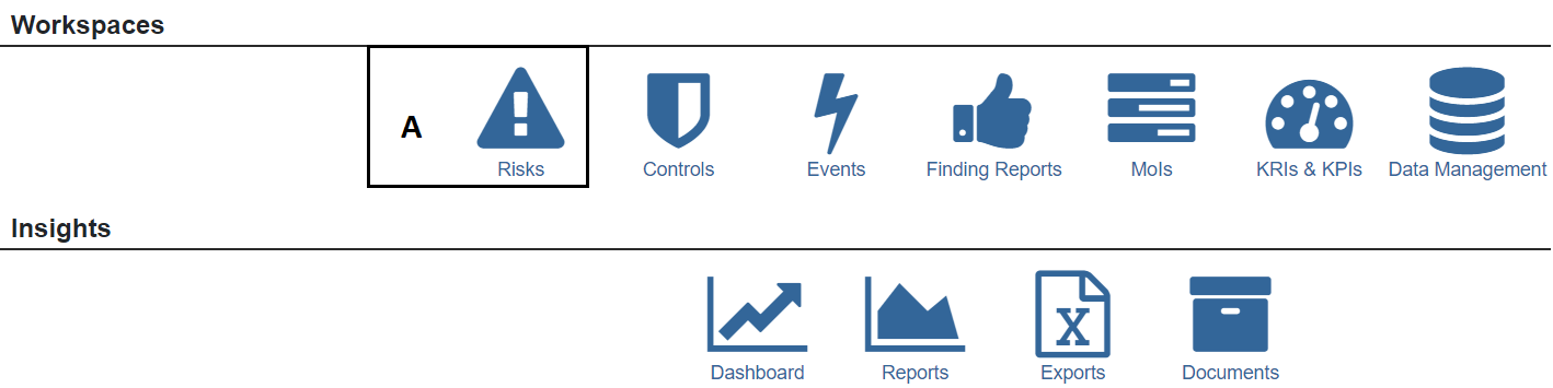 The Risks workspace in the Workspaces widget
