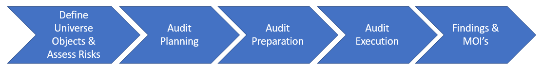 The audit process: define universe objects and assess risks, audit planning, audit preparation, audit execution, findings and MOIs